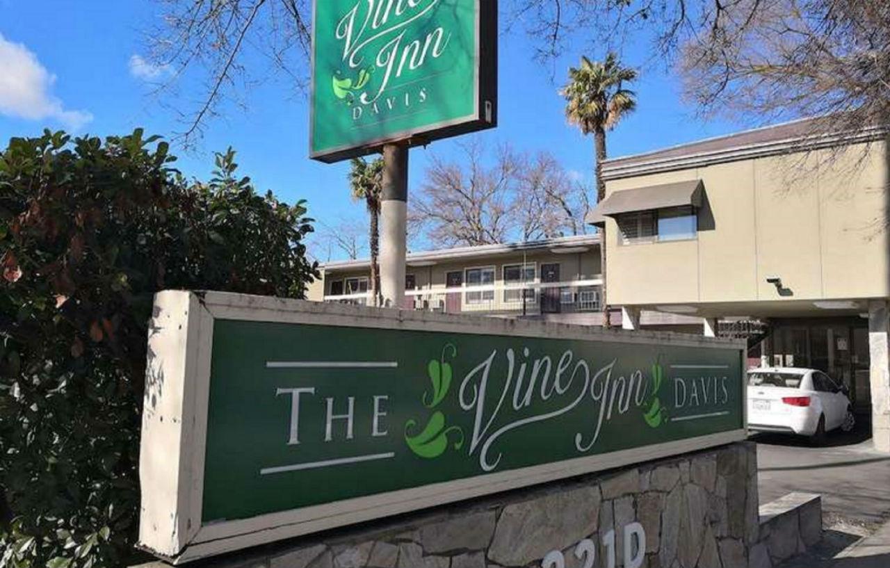 The Vine Inn Davis Buitenkant foto
